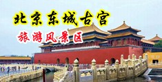 大鸡吧日逼视频网中国北京-东城古宫旅游风景区